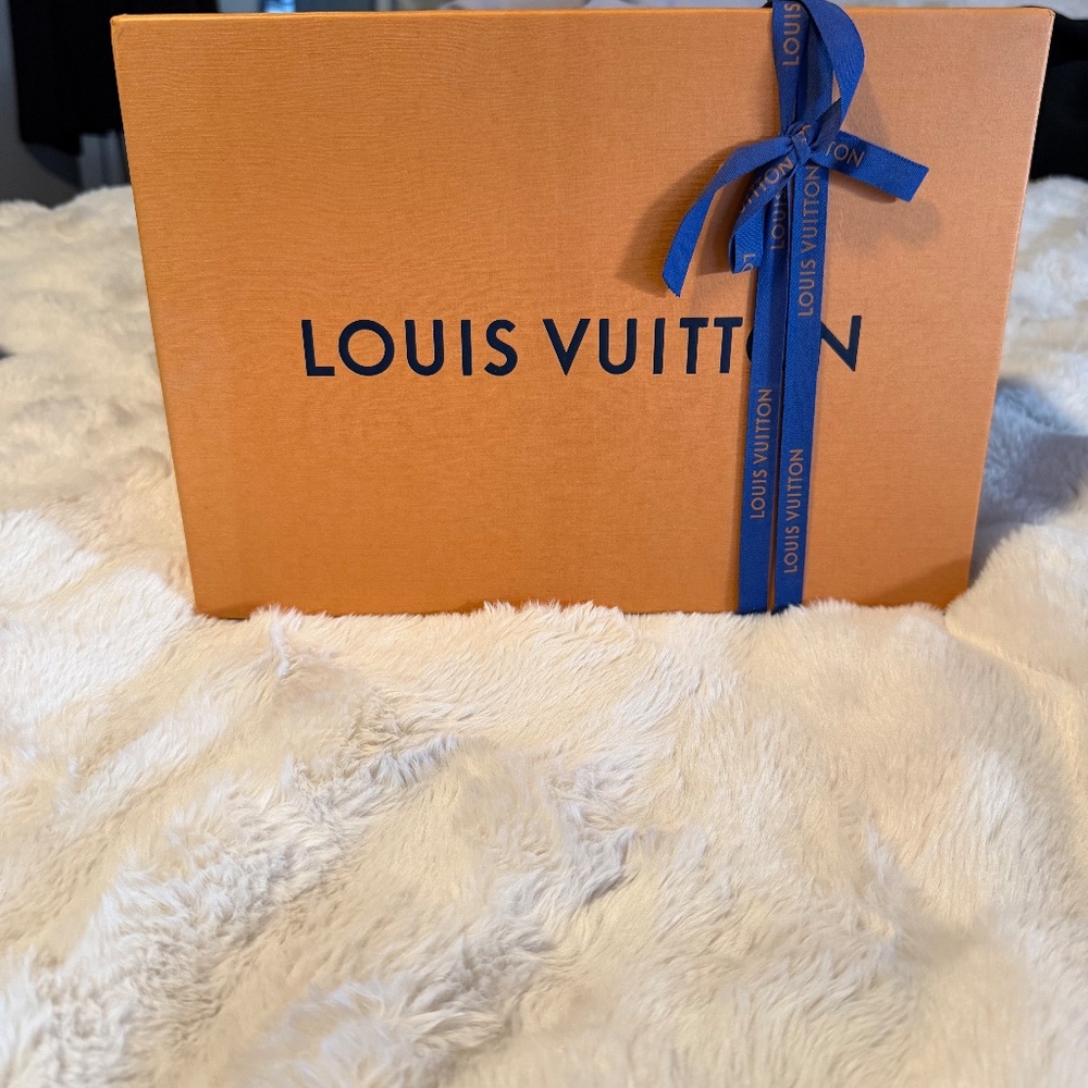LOUIS VUITTON - Picture 6 of 16